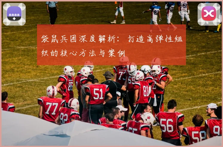 袋鼠兵团深度解析:打造高弹性组织的核心方法与案例