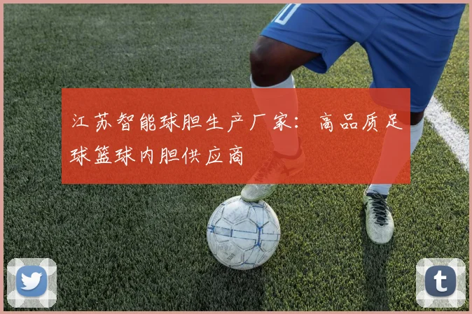 江苏智能球胆生产厂家:高品质足球篮球内胆供应商