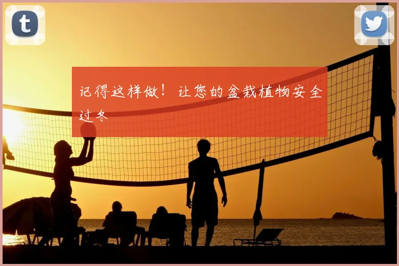 记得这样做！让您的盆栽植物安全过冬