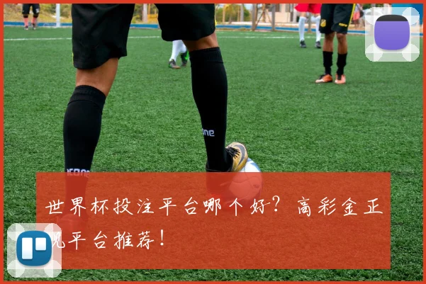 世界杯投注平台哪个好？高彩金正规平台推荐！