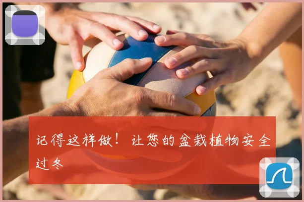 记得这样做！让您的盆栽植物安全过冬