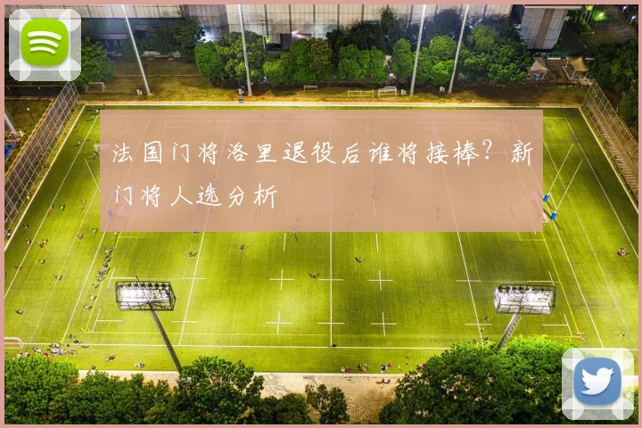法国门将洛里退役后谁将接棒?新门将人选分析