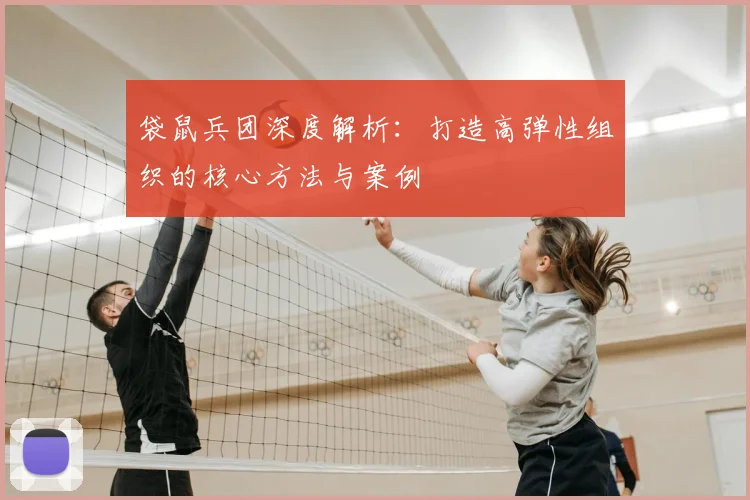 袋鼠兵团深度解析:打造高弹性组织的核心方法与案例